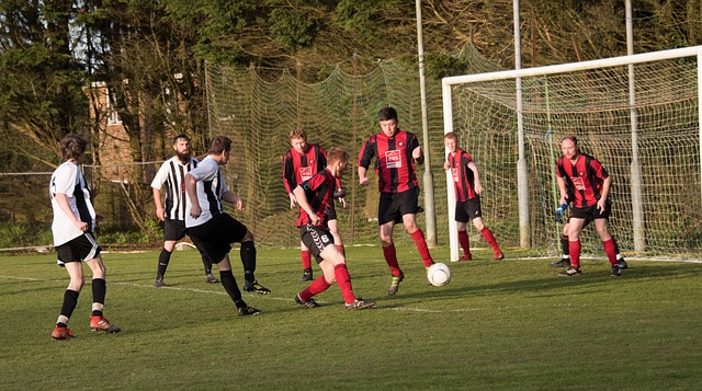 来对阵西海 来对阵西海